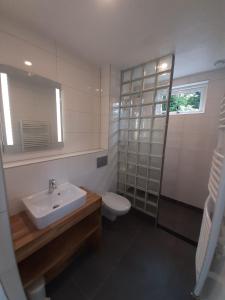 een badkamer met een wastafel, een toilet en een spiegel bij Vakantiehuis Boomgaard in Vrouwenpolder