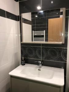 マント・ラ・ジョリーにあるApparemment 003の洗面台と鏡のあるバスルーム