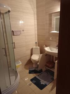 a bathroom with a toilet and a sink at Prenoćište/Restoran Lovac in Bihać