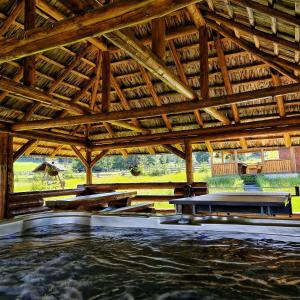 a large wooden building with a pool of water at Pensiunea Agroturistica Casa Brazilor 