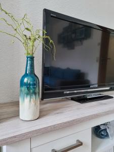 TV a/nebo společenská místnost v ubytování Altstadt-FeWo-Freiberg
