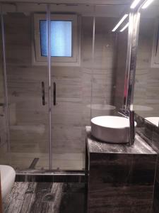uma casa de banho com um lavatório e uma cabina de duche em vidro. em Beachwalk apartments em Chalkida