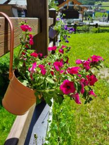 un pot de fleurs sur un banc avec des fleurs roses dans l'établissement Al Camanel, à Livigno