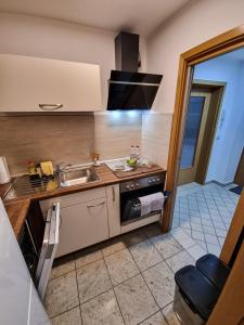 Kuchyň nebo kuchyňský kout v ubytování Altstadt-FeWo-Freiberg