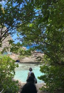 Paesaggio naturale nelle vicinanze della villa