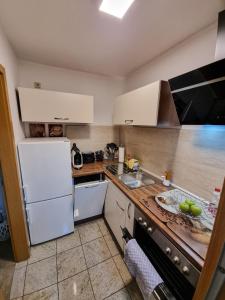 Kuchyň nebo kuchyňský kout v ubytování Altstadt-FeWo-Freiberg + 11 fotografií