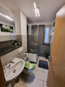W łazience znajduje się umywalka, prysznic i toaleta. w obiekcie Altstadt-FeWo-Freiberg w mieście Freiberg
