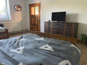 TV a/nebo společenská místnost v ubytování Ubytování U Pavly