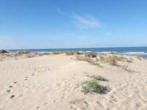 einen Strand mit Fußabdrücken im Sand und im Ozean in der Unterkunft Ma pause Charentaise in Les Mathes