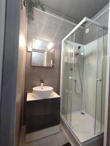 uma casa de banho com um lavatório e uma cabina de duche em vidro. em Studio indépendant accès direct autonome. em Le Cateau