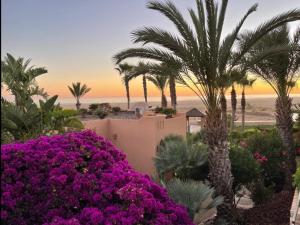 uma vista a partir da varanda de um resort com flores roxas e palmeiras em Paradis Plage Pieds dans l'eau - Superbe Appartement em Agadir