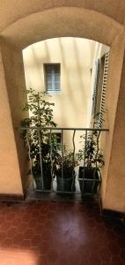 a group of potted plants sitting on a balcony at Chambre d'Hôtes sde, wc privé climatisé dans loft 80m2 Espace commun avec les habitants Salon et cuisine in Toulon