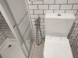 a bathroom with a white toilet and a shower at Casa Penedo do Raposo in Muxagata
