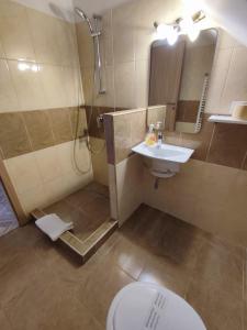 y baño con ducha, aseo y lavamanos. en Casa Rezidentiala Pasteur, en Cluj-Napoca