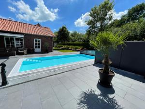 ein Schwimmbad mit Topfpflanze neben einem Haus in der Unterkunft Der Romantik-Hof Greetsiel in Greetsiel