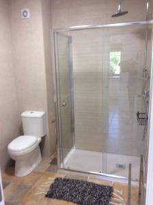 a bathroom with a shower with a toilet and a rug at Puente Romano in Galizano
