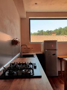 A kitchen or kitchenette at Lux Apartment