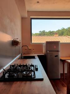 A kitchen or kitchenette at Lux Apartment