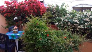 Galería fotográfica de CENTRAL ROOM with private bathroom, no smoking en Palau