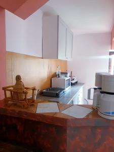 a kitchen with a counter top with a microwave at Casa Roxana in Vişeu de Mijloc