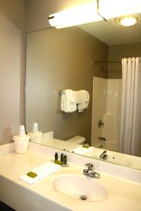 a bathroom with a sink, mirror, and towel rack at Carpenter Street Hotel in Springfield
