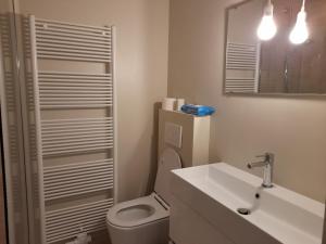 a bathroom with a toilet and a sink and a mirror at Kristof701 in De Panne
