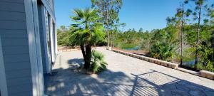 una palma sul lato di una casa di Luxury Vacation Home near Johnson Beach a Perdido Key