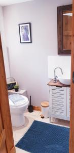 a bathroom with a toilet and a sink at Le Vieux Moulin Gites - Detached cottage with garden views and pool in Guégon