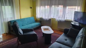 een woonkamer met een bank, stoelen en een tv bij Apartment Roxana Vrdnik in Vrdnik