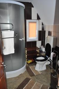 un baño con inodoro y ducha en Casa Daria Ranca, en Ranca 15 fotos más