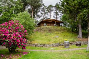 una casa en la cima de una colina con flores rosas en Bynack, en Aviemore
