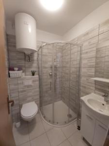 ein Badezimmer mit Dusche, Toilette und Waschbecken in der Unterkunft Kuća za odmor Lazarić in Marčana + 20 Fotos