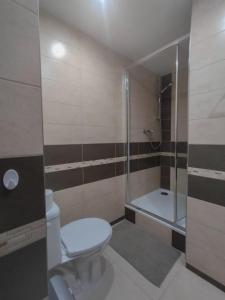 a bathroom with a toilet and a shower at Apartmánek Protěž in Janske Lazne +22 photos