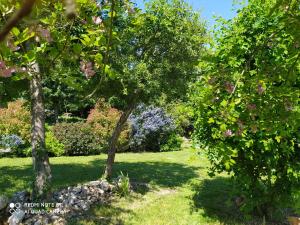 a garden with trees and flowers in the grass at La Longère du Val in Tauxigny
