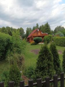 Vonkajšia záhrada v ubytovaní Domek JEZIORACZEK BIS
