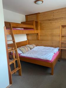 Postel nebo postele na pokoji v ubytování Alba Apartmany Železná Ruda