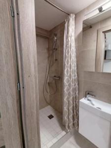 uma casa de banho com um chuveiro, um WC e um lavatório. em K8-5 Apartments em Nida