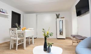 TV a/nebo společenská místnost v ubytování Apartment D & Studio L