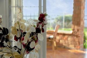 Vonkajšia záhrada v ubytovaní Villa Marianna con piscina climatizada y barbacoa