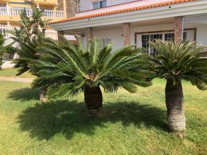 Vonkajšia záhrada v ubytovaní Villa Marianna con piscina climatizada y barbacoa