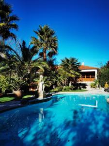 a swimming pool with a fountain and palm trees at Quinta do Vale Encantado "the Valley" - Santarém - Portugal in Calhariz