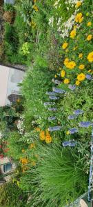 a garden with colorful flowers and plants at Apartments Nähe Red Bull Ring in Proleb