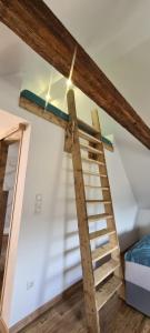 a ladder leading up to a loft bed in a room at Apartments Nähe Red Bull Ring in Proleb