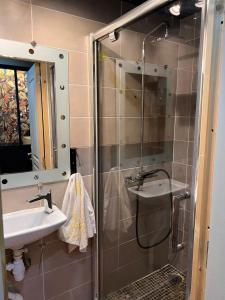 een badkamer met een douche en een wastafel bij Justcozy chambre indépendante #4 in Lille