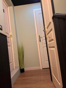 Fotografia z galérie ubytovania Justcozy chambre indépendante #4 v destinácii Lille