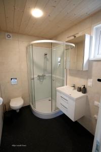 a bathroom with a shower and a toilet and a sink at Eyri Seaside Houses in Hvammstangi