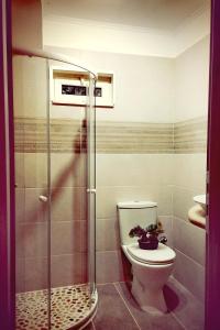 a bathroom with a toilet and a glass shower at Spiro's cottage by Alegria apartments in Vlachopoulátika +32 photos