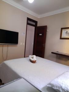 ein Schlafzimmer mit Bett und Flachbildfernseher in der Unterkunft Pousada Flor D' Açucena in Natal