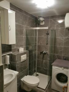 Koupelna v ubytování Apartments Tomisa