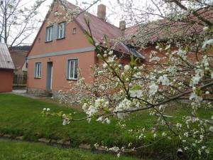 a house with a flowering tree in front of it at Chata Elča in Lipova Lazne